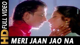 Meri Jaan Jao Na  Amit Kumar Sadhana Sargam  Jawani Zindabad 1990 Songs  Javed Jaffrey