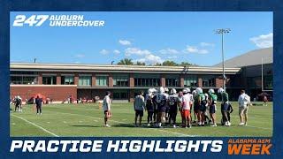 Auburn football practice highlights  Alabama A&M week