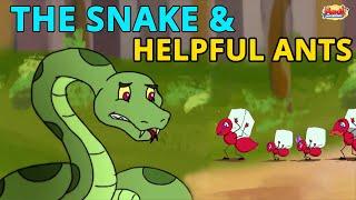 The Snake & Helpful Ants  Animated Stories  Best English Stories  Aadi And Friends