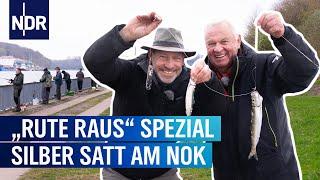 Heringe fangen im Nord-Ostsee-Kanal  Rute raus der Spaß beginnt  NDR