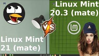 Linux Mint 21 Beta vs Linux Mint 20.3 RAM Usage on Boot Up