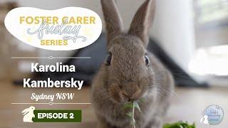 Why You Should Foster Rabbits with Karolina Kambersky  Foster Carer Friday Series  Episode 2