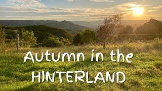 Autumn in the Sunshine Coast Hinterland I Queensland Australia Travel Vlog 154 2023