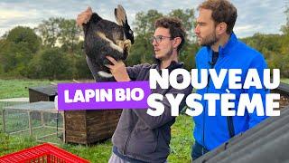 Installation innovante en élevage lapin bio