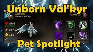 Unborn Val kyr - Pet Spotlight