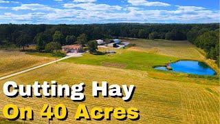 Cutting Hay With a Disk Mower on a Compact Tractor