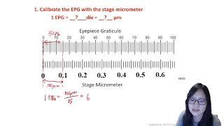 Chapter 1.2 - Micrometry and Magnification  Cambridge A-Level 9700 Biology