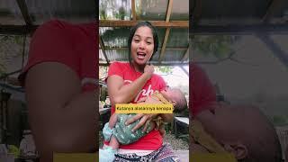 Lagu Anak Tinggal di Desa