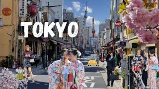 Unbelievable Tokyo Sight Dont Miss the Sakura Miracle 2023 drone Japan