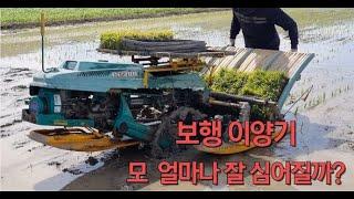 이양기 대동 보행 이양기 아직도 모 잘 심어질까? 시골 모내기  Korean agricultural machinery