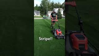 Lawn Striping Like A PRO With A Push Mower #lawncare #lawnstripes #grass