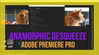 Anamorphic Desqueeze Adobe Premiere How to interpret Anamorphic footage. 4K