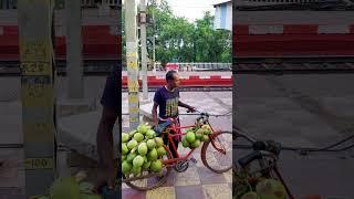 Green Coconut and Train #shorts