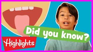 Educational Videos for Kids  2020  Fun Learning Videos for Kids  Did You Know?  Highlights Kids