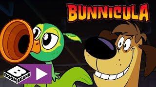 Bunnicula  The Annoying Musical Bird Monster  Boomerang UK 