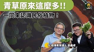 進入青草世界：一同來認識日常生活裡的民俗植物們！｜ft.祖傳青草達人 翁義成｜公視我們的島Podcast@EP.131