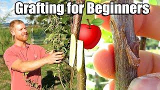 Apple Tree Grafting For Beginners - Learn How To Graft  Includes 6 Months of Updates