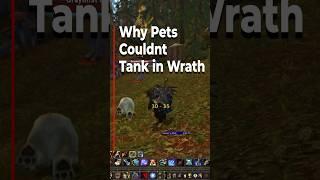 The Untold Story of Hunter Pets Inability to Tank in Wrath