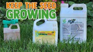 Keep Your Overseed Moving with GreeneStart