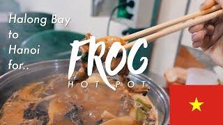 What to eat in Hanoi? FROG HOT POT..? - Halong Bay & Hanoi  VIETNAM FOOD & TRAVEL VLOG