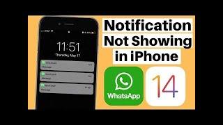 Whatsapp notifications not showing  iphone