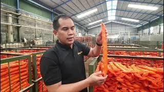 PELUANG USAHA 2022...JADILAH DISTRIBUTOR ATAU AGEN PRODUK KRUPUK MENTAH BAWANG  IKAN .1 KAB 1 AGEN.