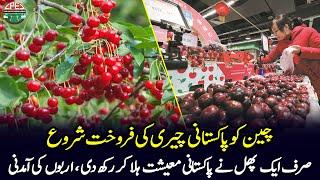 Pakistan Started Exporting Cherry To China  Gwadar CPEC