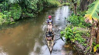 Building a canoe Fishing and cutting a big tree in search of bugs to eat