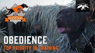 Teaching Your Pup to Sit and Place  Duck Dog University Ep.6