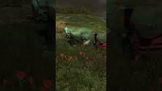 How to Play Isabella Von Carstein in Less Than 60 Seconds  Total War Warhammer 3