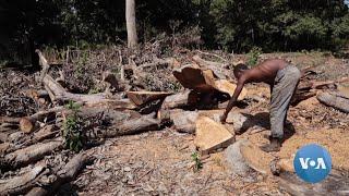 Kenyan Activists Seek Climate Change Protections Amid Record Drought Flooding  VOANews