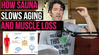 Sauna Slows Aging Muscle Loss & Supports Longevity by Ratcheting up these Proteins