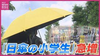 小学生にも広がる「日傘」の利用   「日差し強くて暑さ厳しく紫外線も気になる」“災害級猛暑”で使用認める学校増える