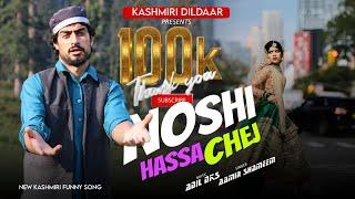 Noshi Hasa Chej  Kashmiri Funny Song  Adil dks  Aamir shameem