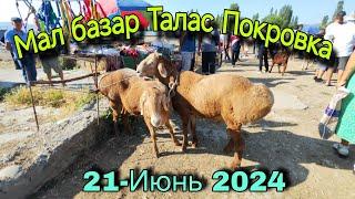 Мал базар Талас Покровка 21-Июнь 2024