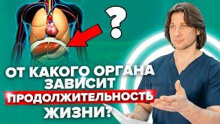 Как поджелудочная железа может влиять на продолжительность жизни? Что любит поджелудочная железа?