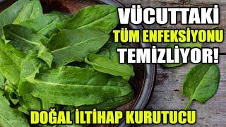 Vücuttan İltihabı Kurutarak Tüm Enfeksiyonu Temizliyor