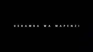 Mkosa Baby Ft Dk Swaga - Ushamba Wa Mapenzi.