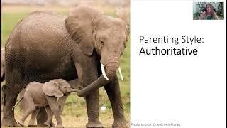 Authoritarian vs. Authoritative? 4 Parenting Styles Explained Funny Examples- ASWB Exam Prep