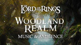 Lord of the Rings  The Woodland Realm of Mirkwood Music & Ambience with @ASMRWeekly