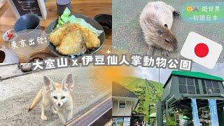 東京出發大室山*伊豆仙人掌動物公園 2023