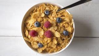 13 Tasty and Nutritious Breakfast Cereals  Consumer Reports