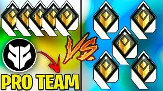 Registered Pro Team VS 5 Radiants - Whats the difference?