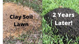 Improve Your Clay Soil Lawn - CRAZY PROOF from Fire Ants