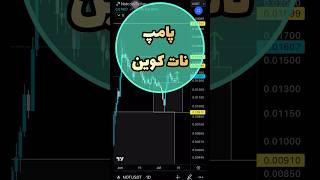 #سیگنال پامپ نات کوینnotcoin.   #shortsvideo       #notcoin