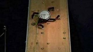 Timothy Bretls climbing robot