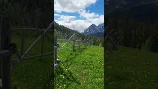 Backpacking in Belly River Glacier National Park