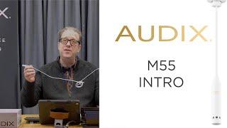 Audix Introduction to the M55 Adjustable Hanging Ceiling Microphone