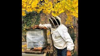 Natural Beekeeping   20 Suggestions with Paul Sheppard 05102024