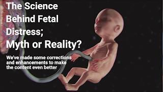 Fetus and Distress an improved version of a video we uploaded earlier that you might have missed